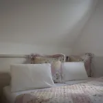 Kiwi 3* Mikulov
