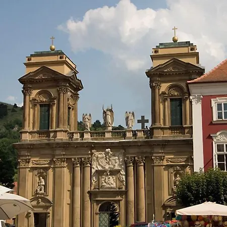 Kiwi Mikulov