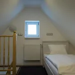 Kiwi 3* ミクロフ