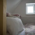 Kiwi 3* ミクロフ