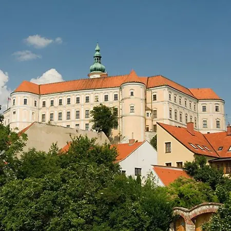 Kiwi Mikulov