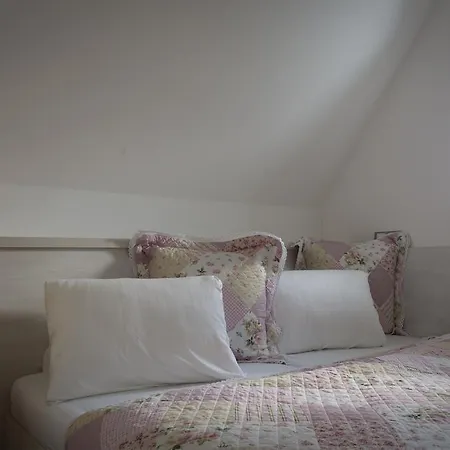 Kiwi Guest house 3*
