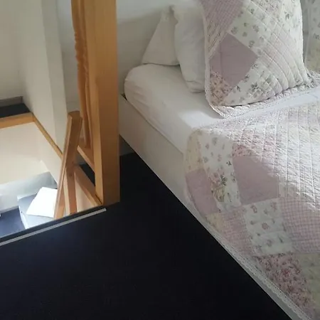 Guest house Kiwi 3*