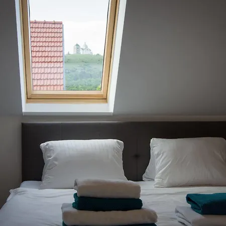 Guest house Kiwi 3*