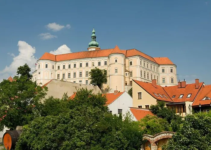 Kiwi Mikulov