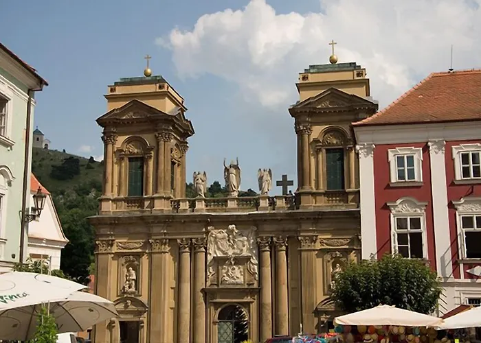 Kiwi Mikulov